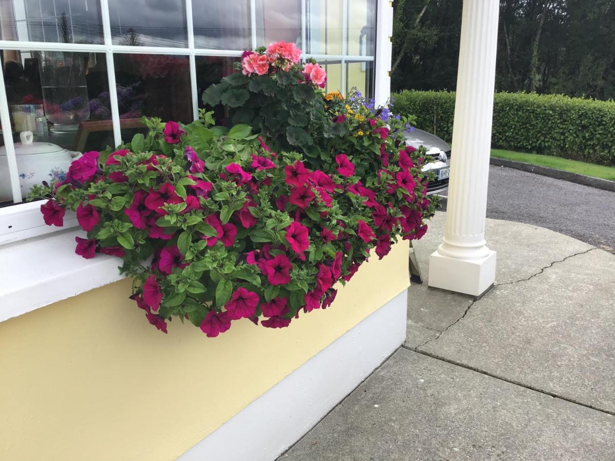 Bed and Breakfast Oakfield Kenmare Esterno foto