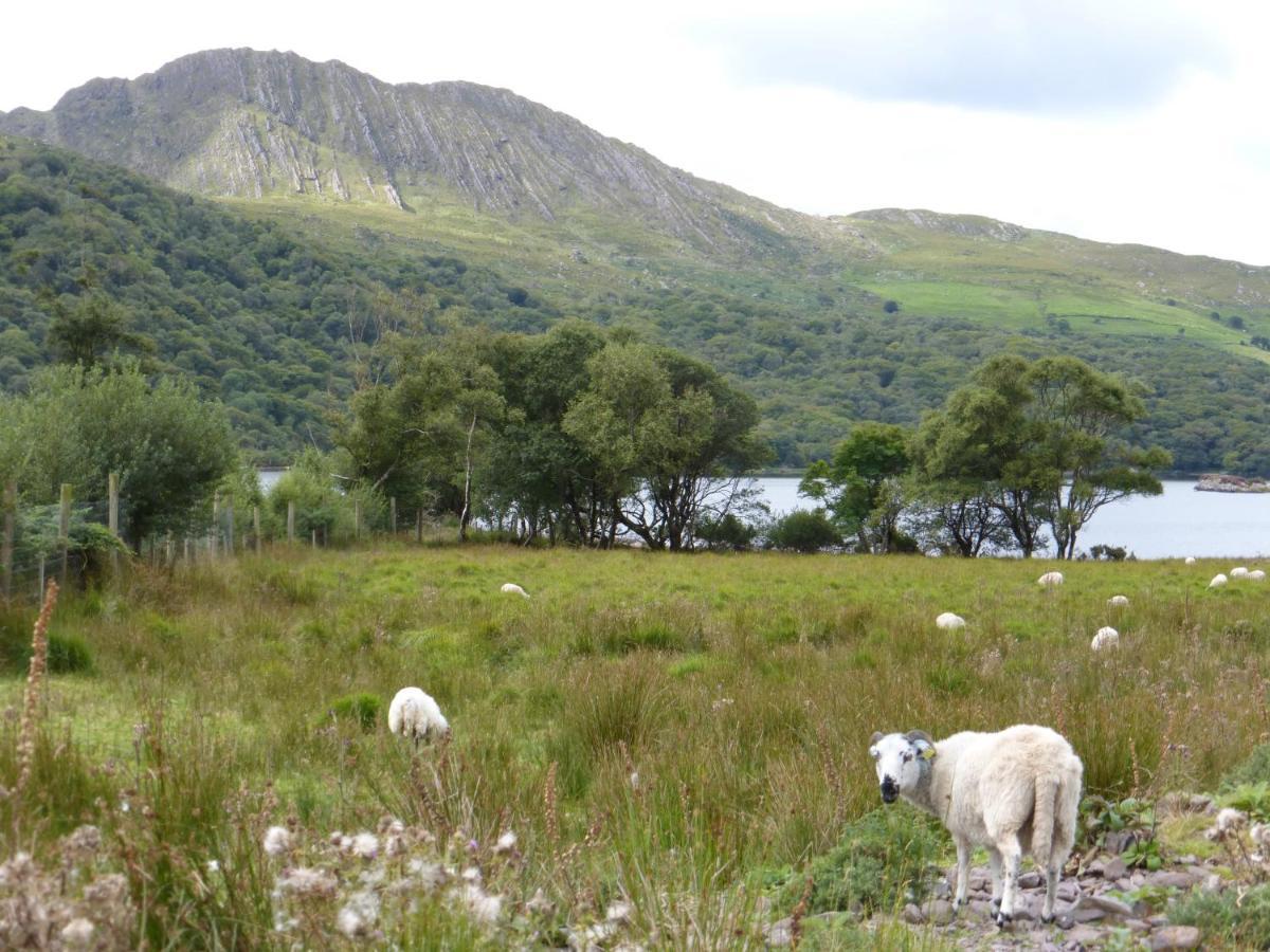 Bed and Breakfast Oakfield Kenmare Esterno foto